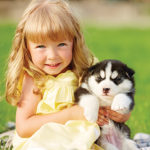 Portrait of a little girl and her husky friend